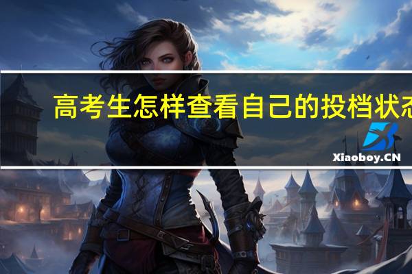 高考生怎样查看自己的投档状态