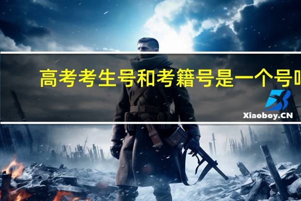 高考考生号和考籍号是一个号吗
