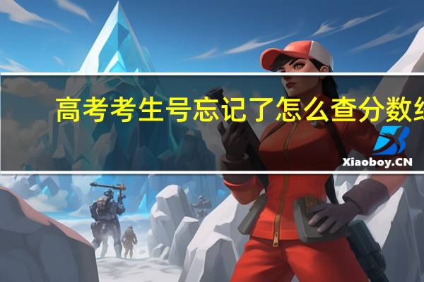 高考考生号忘记了怎么查分数线