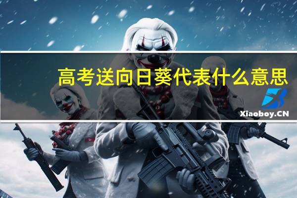 高考送向日葵代表什么意思