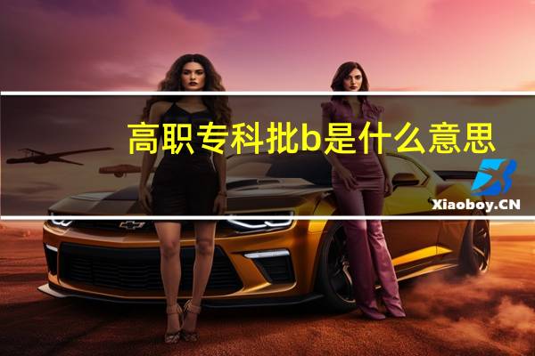 高职专科批b是什么意思