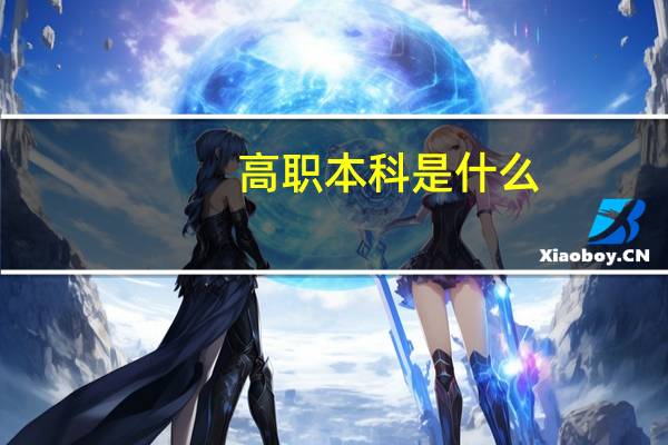 高职本科是什么