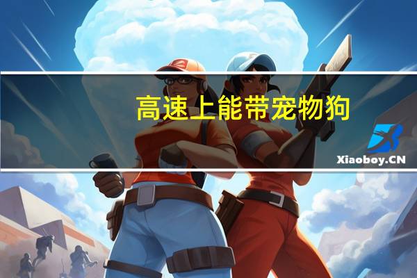 高速上能带宠物狗