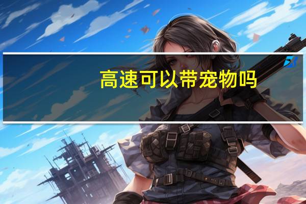 高速可以带宠物吗