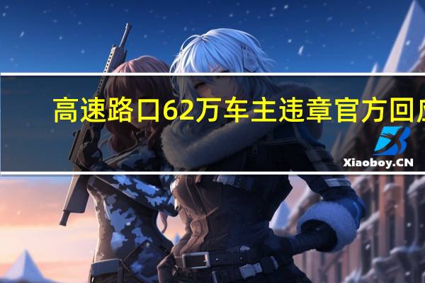 高速路口62万车主违章官方回应