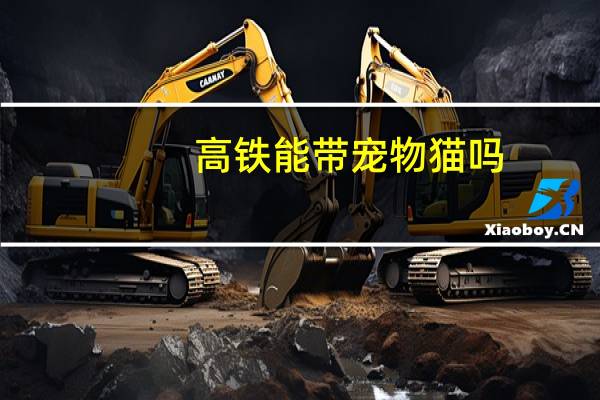 高铁能带宠物猫吗
