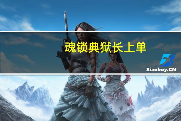 魂锁典狱长上单（魂锁典狱长出装）