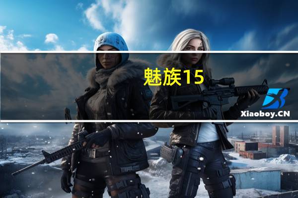 魅族15（plus）