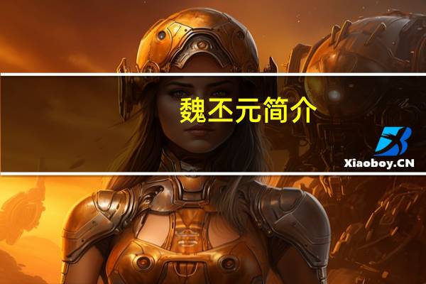 魏丕元简介（魏丕简介）