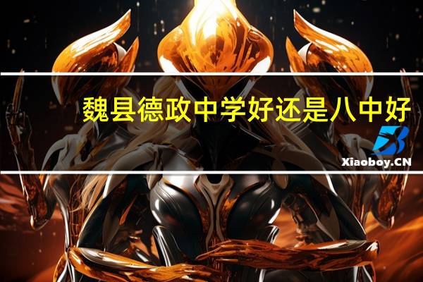 魏县德政中学好还是八中好