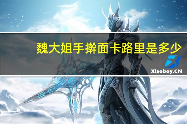 魏大姐 手擀面卡路里是多少