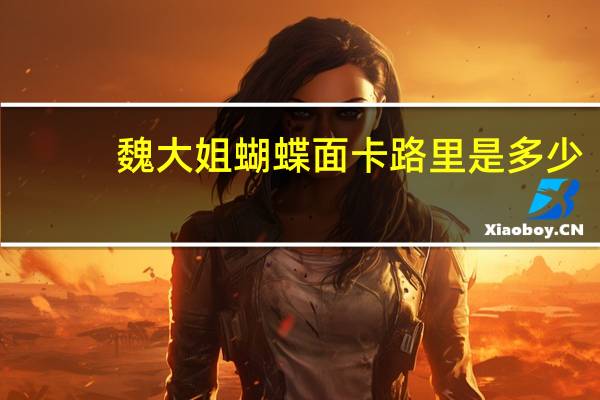 魏大姐 蝴蝶面卡路里是多少