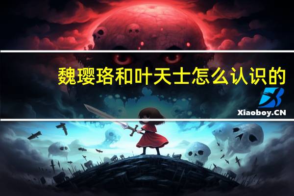 魏璎珞和叶天士怎么认识的