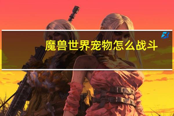 魔兽世界宠物怎么战斗