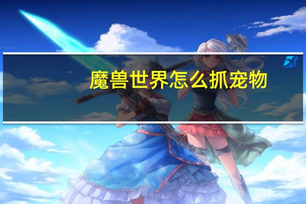 魔兽世界怎么抓宠物