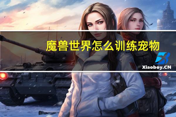 魔兽世界怎么训练宠物