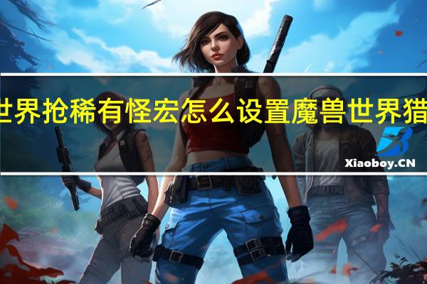 魔兽世界抢稀有怪宏怎么设置 魔兽世界猎人稀有宝宝