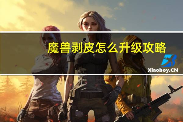 魔兽剥皮怎么升级攻略（魔兽世界剥皮升级攻略）