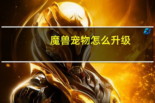 魔兽宠物怎么升级
