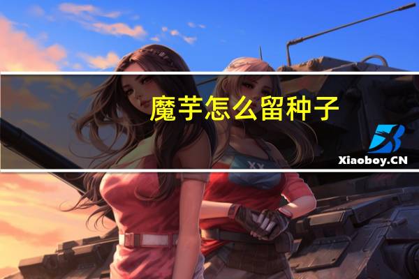 魔芋怎么留种子