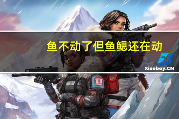 鱼不动了但鱼鳃还在动