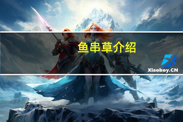 鱼串草介绍