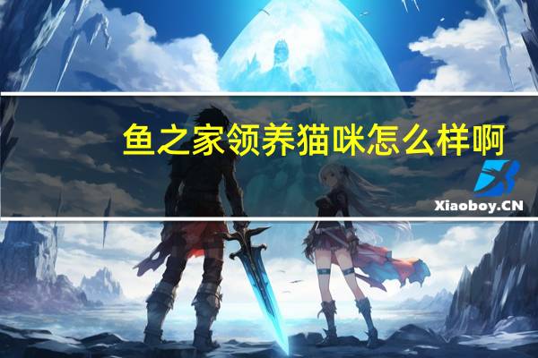 鱼之家领养猫咪怎么样啊