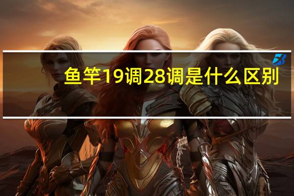鱼竿19调28调是什么区别（鱼竿19调28调是什么意思）