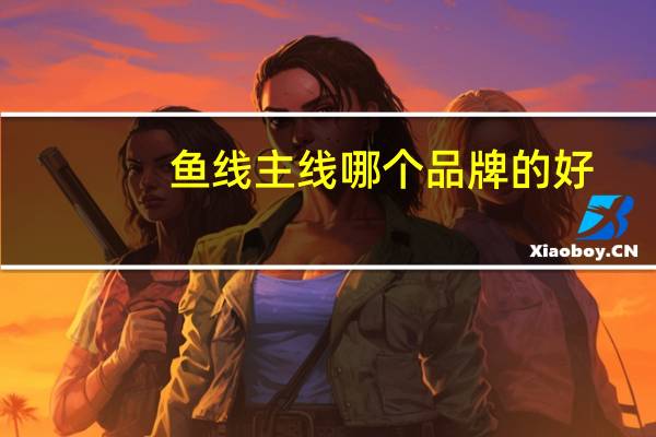 鱼线主线哪个品牌的好（鱼线主线）