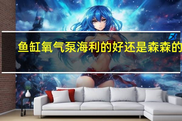鱼缸氧气泵海利的好还是森森的好