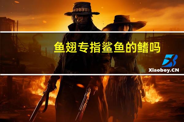鱼翅专指鲨鱼的鳍吗