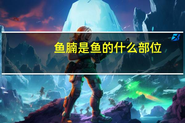 鱼腩是鱼的什么部位(鱼腩)