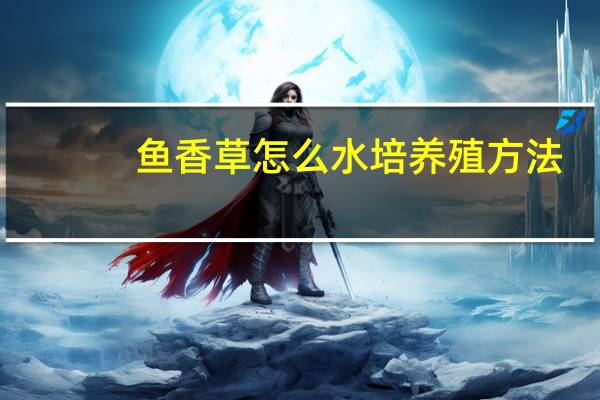 鱼香草怎么水培养殖方法