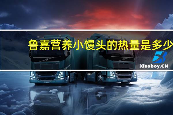 鲁嘉 营养小馒头的热量是多少