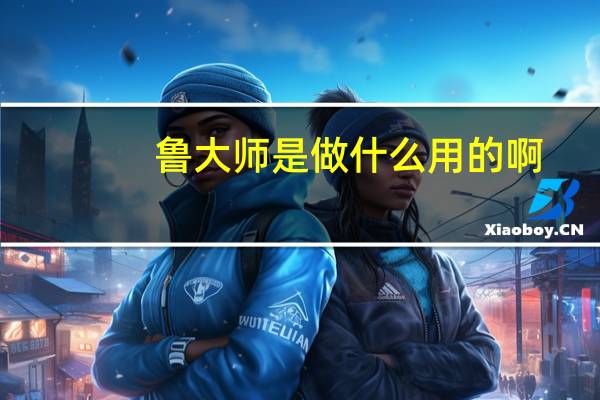 鲁大师是做什么用的啊（鲁大师是做什么用的）