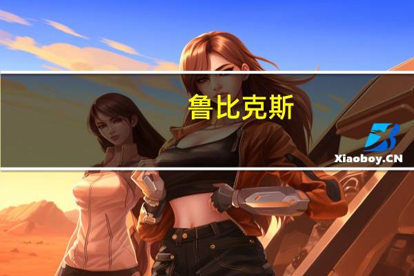鲁比克斯（鲁比克360）