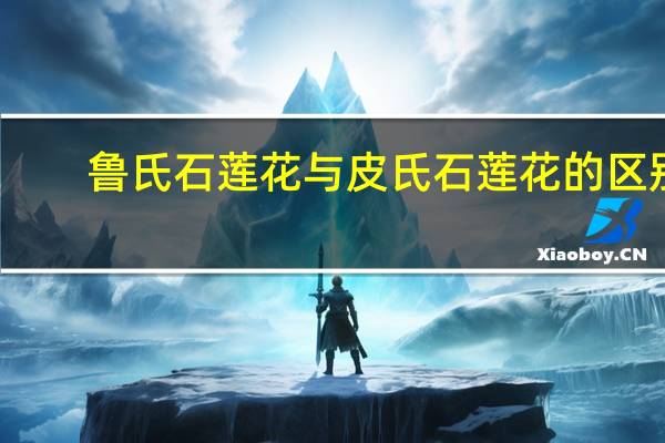 鲁氏石莲花与皮氏石莲花的区别：仔细观察两者叶形是可以区别出来的