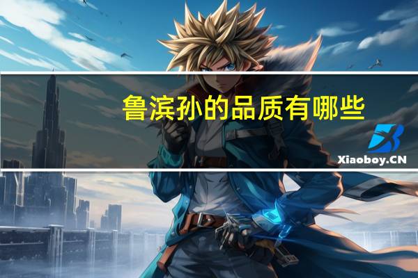 鲁滨孙的品质有哪些（鲁滨孙的品质）