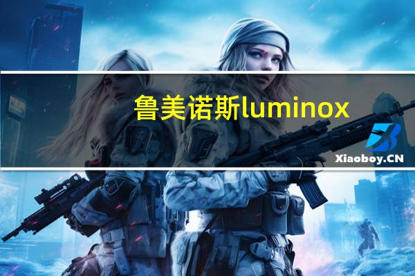 鲁美诺斯luminox（鲁美诺斯）