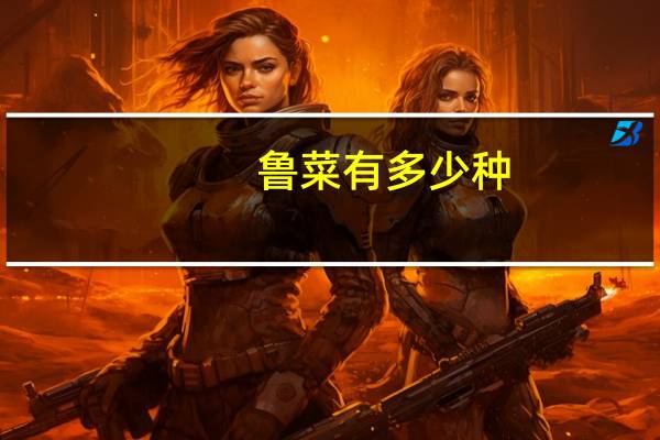 鲁菜有多少种