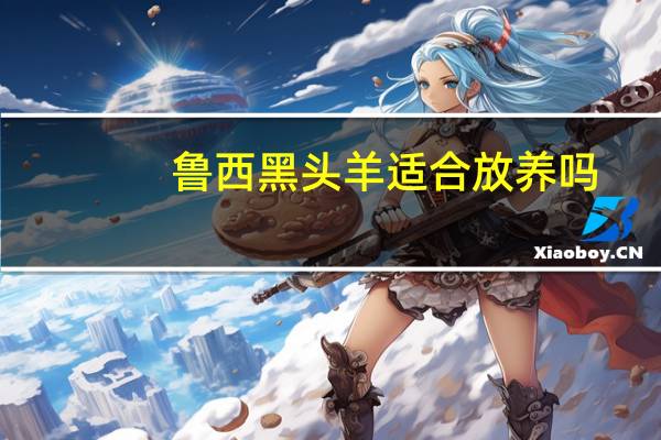鲁西黑头羊适合放养吗