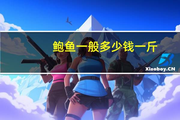 鲍鱼一般多少钱一斤