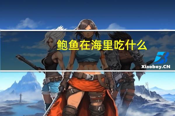鲍鱼在海里吃什么