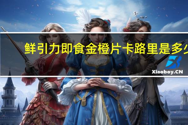鲜引力 即食金橙片卡路里是多少