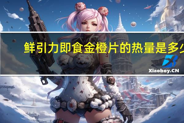 鲜引力 即食金橙片的热量是多少