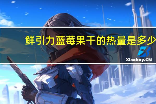 鲜引力 蓝莓果干的热量是多少