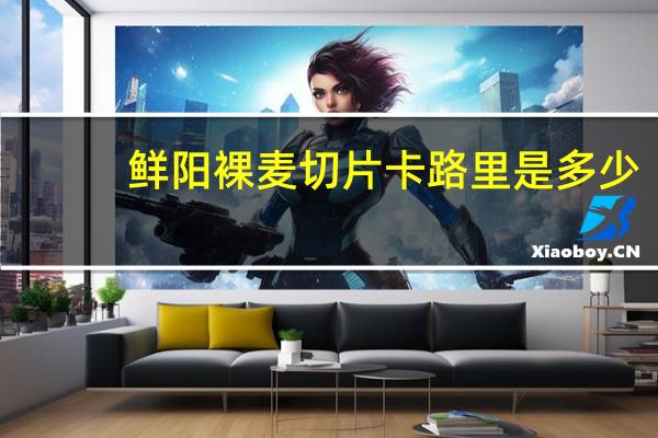 鲜阳 裸麦切片卡路里是多少