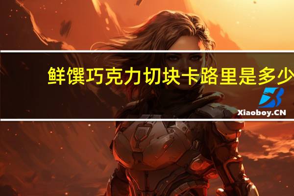 鲜馔 巧克力切块卡路里是多少