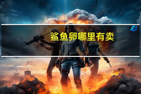 鲨鱼卵哪里有卖（鲨鱼卵）