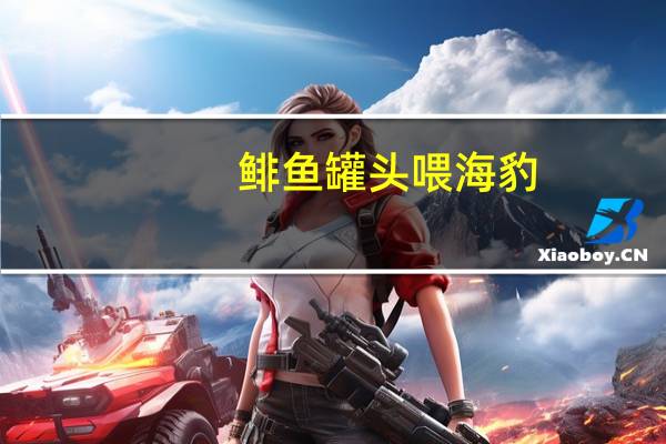 鲱鱼罐头喂海豹（鲱鱼罐头价格）